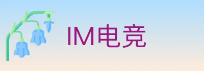 IM电竞 Logo